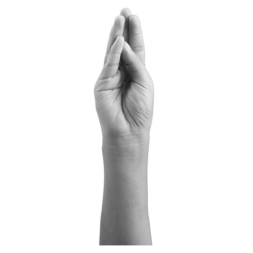 FISTING DILDO'S