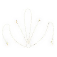 Ketting Tepel en Clitoris Klemmen Set sm