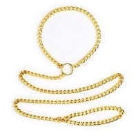 metalen halsband met ketting goud