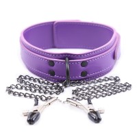 paarse halsband met tepelklemmen
