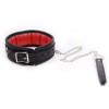 halsband met riem en kussen