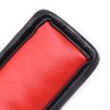 halsband met riem en rood kussen