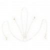 Ketting Tepel en Clitoris Klemmen Set sm
