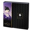 Ondeugende Geisha Kit massage sex intiem shunga