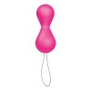 Vibrerende vaginaballen + app sexplezier sex